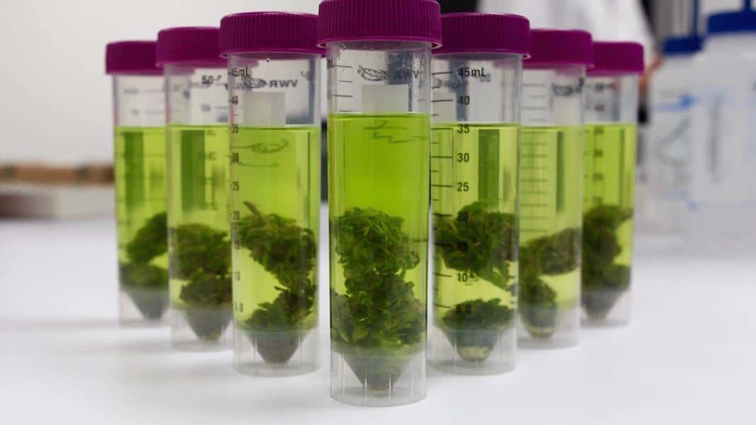 Acr7342903270272-3293115