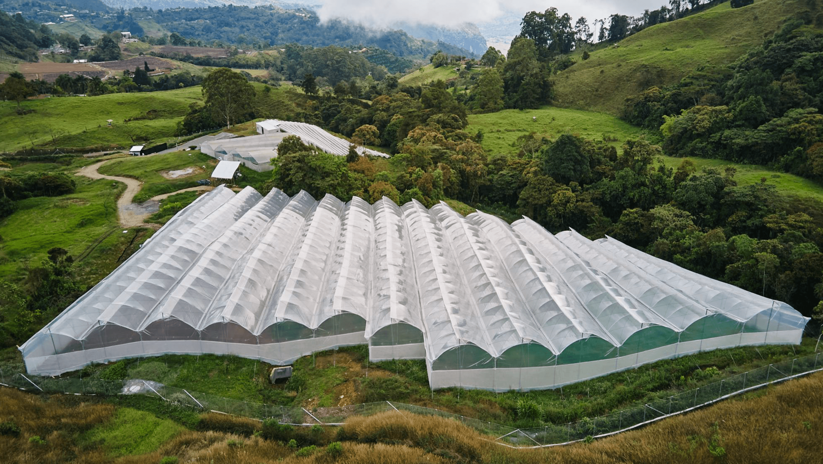 Medical Cannabis Grow Colombia Medellin